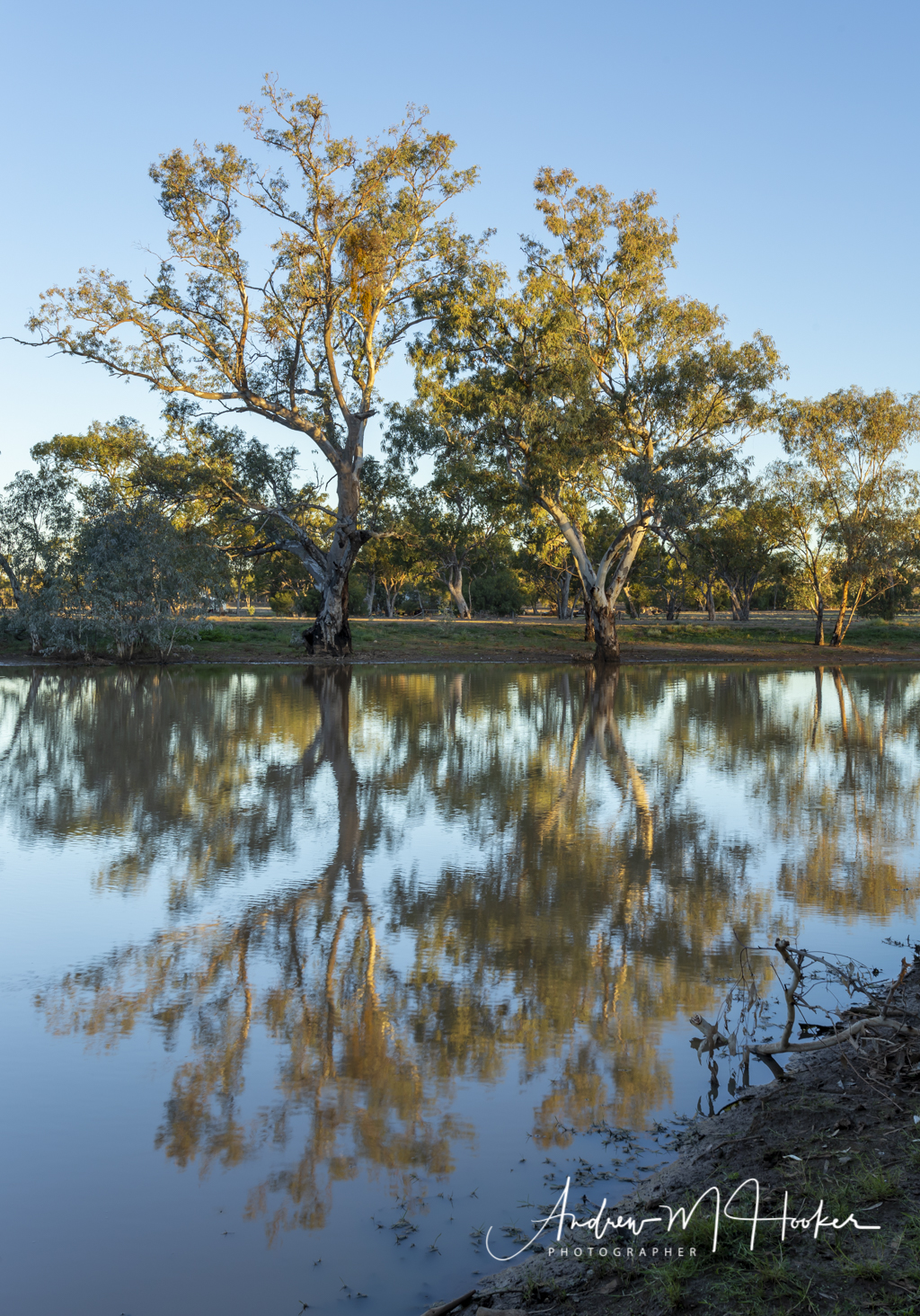 Sadleirs Lagoon Reflections